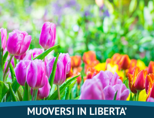 E’ PRIMAVERA! 10 FIORI FACILI DA COLTIVARE